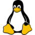 Linux logo representing embedded Linux systems and custom firmware development.